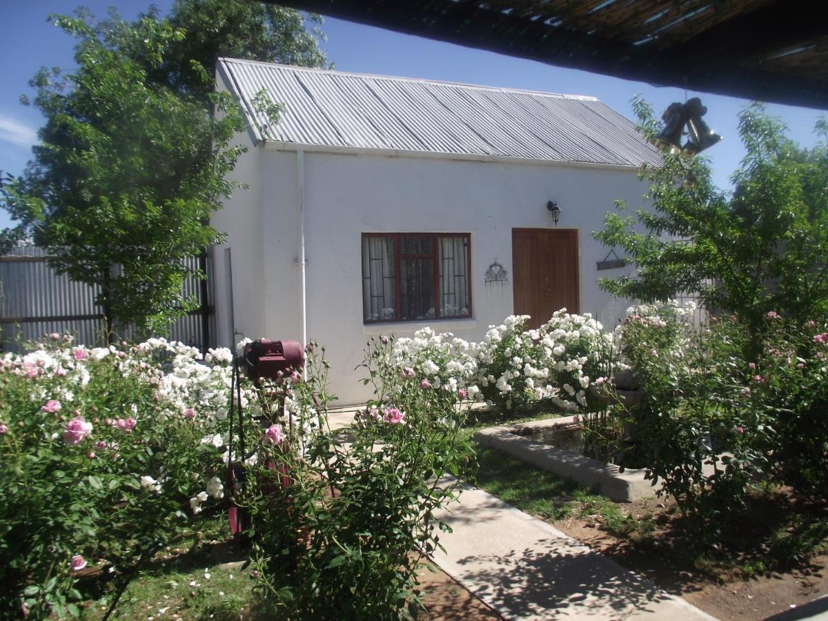 Bed and Breakfast Lavender Rose Bethulie Экстерьер фото