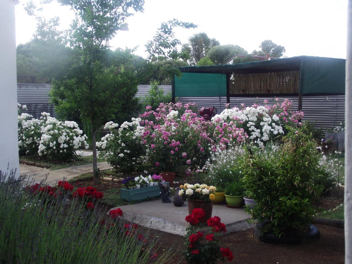 Bed and Breakfast Lavender Rose Bethulie Экстерьер фото