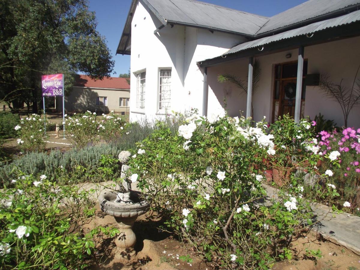 Bed and Breakfast Lavender Rose Bethulie Экстерьер фото