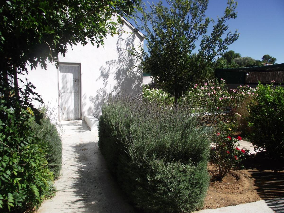 Bed and Breakfast Lavender Rose Bethulie Экстерьер фото